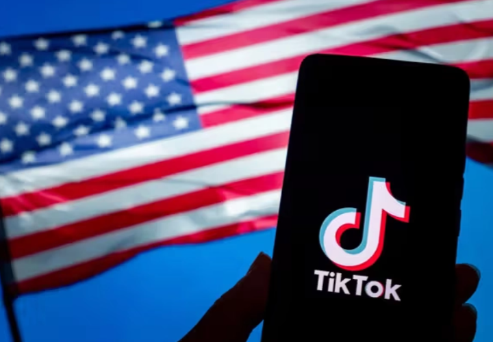 US Takes Action! Acquires TikTok for $47.45 Billion, Pet Sellers Must Seize These 3 Hot Sales Categories